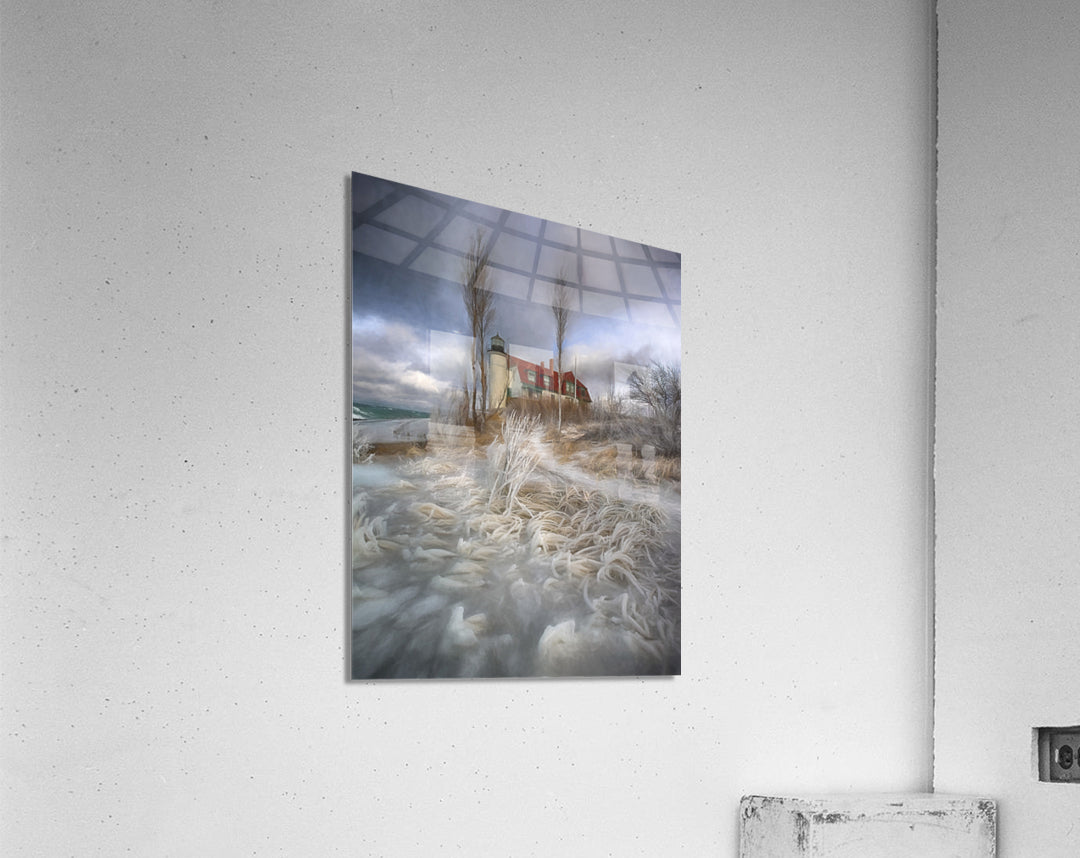 Acrylic Print
