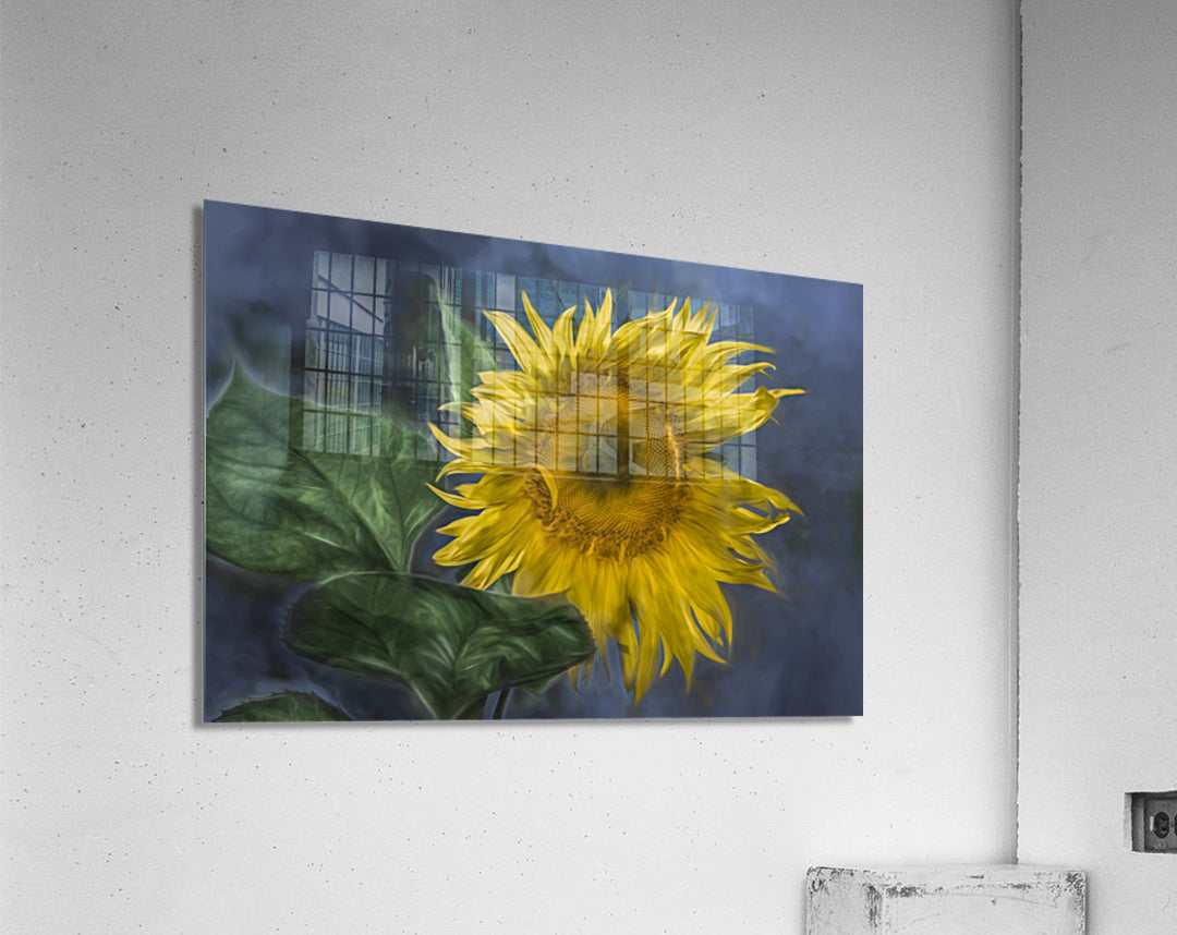 Acrylic Print