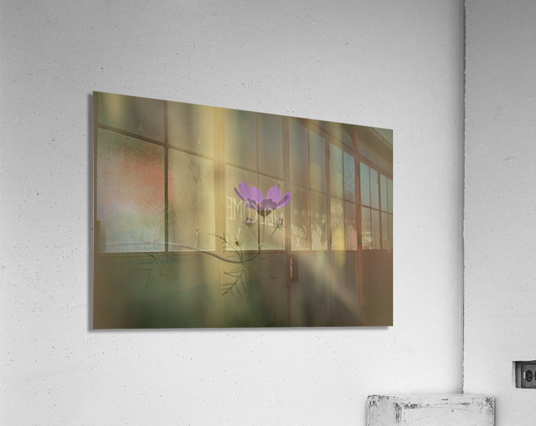 Acrylic Print