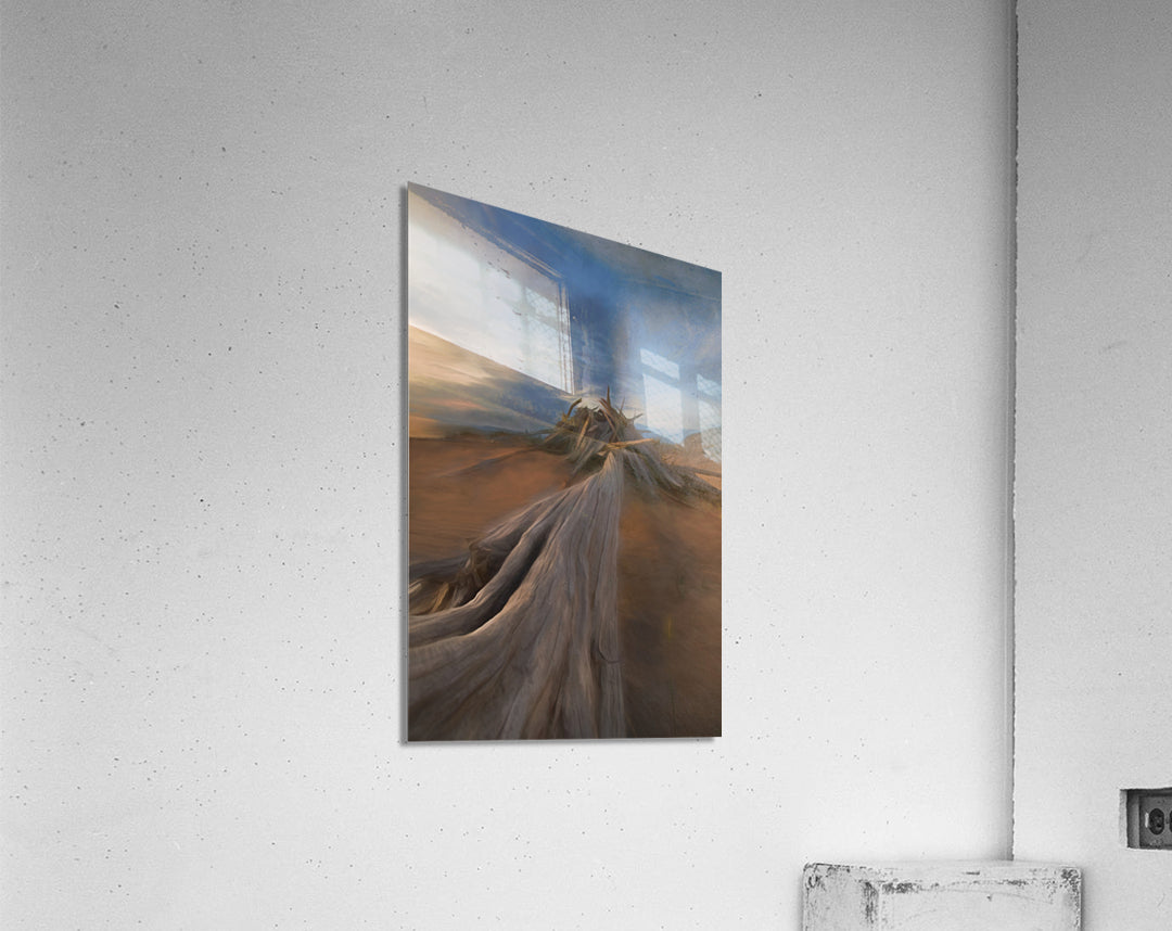 Acrylic Print