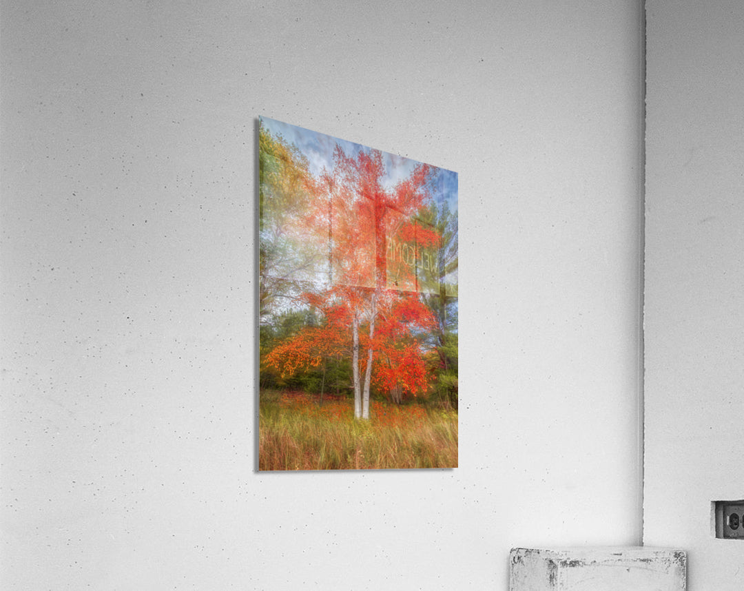 Acrylic Print
