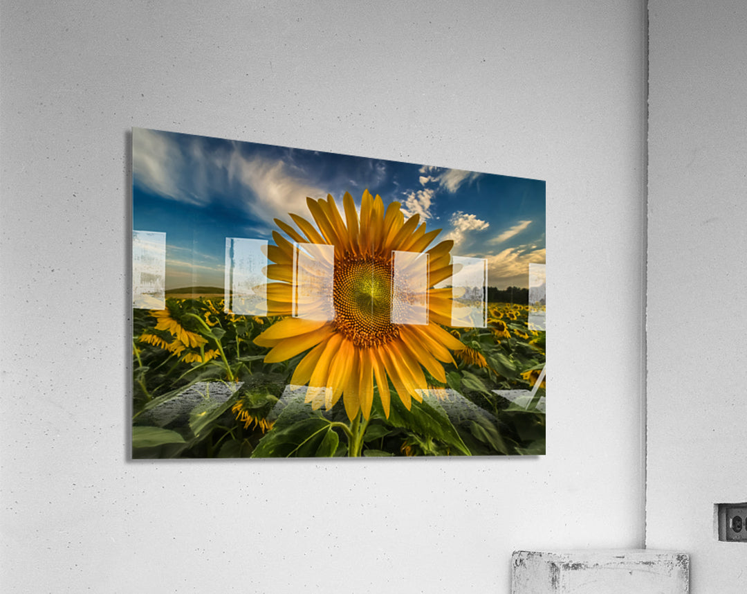 Acrylic Print