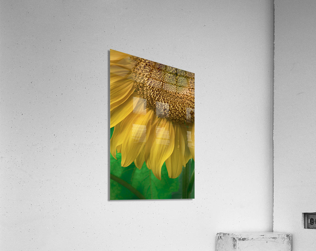 Acrylic Print