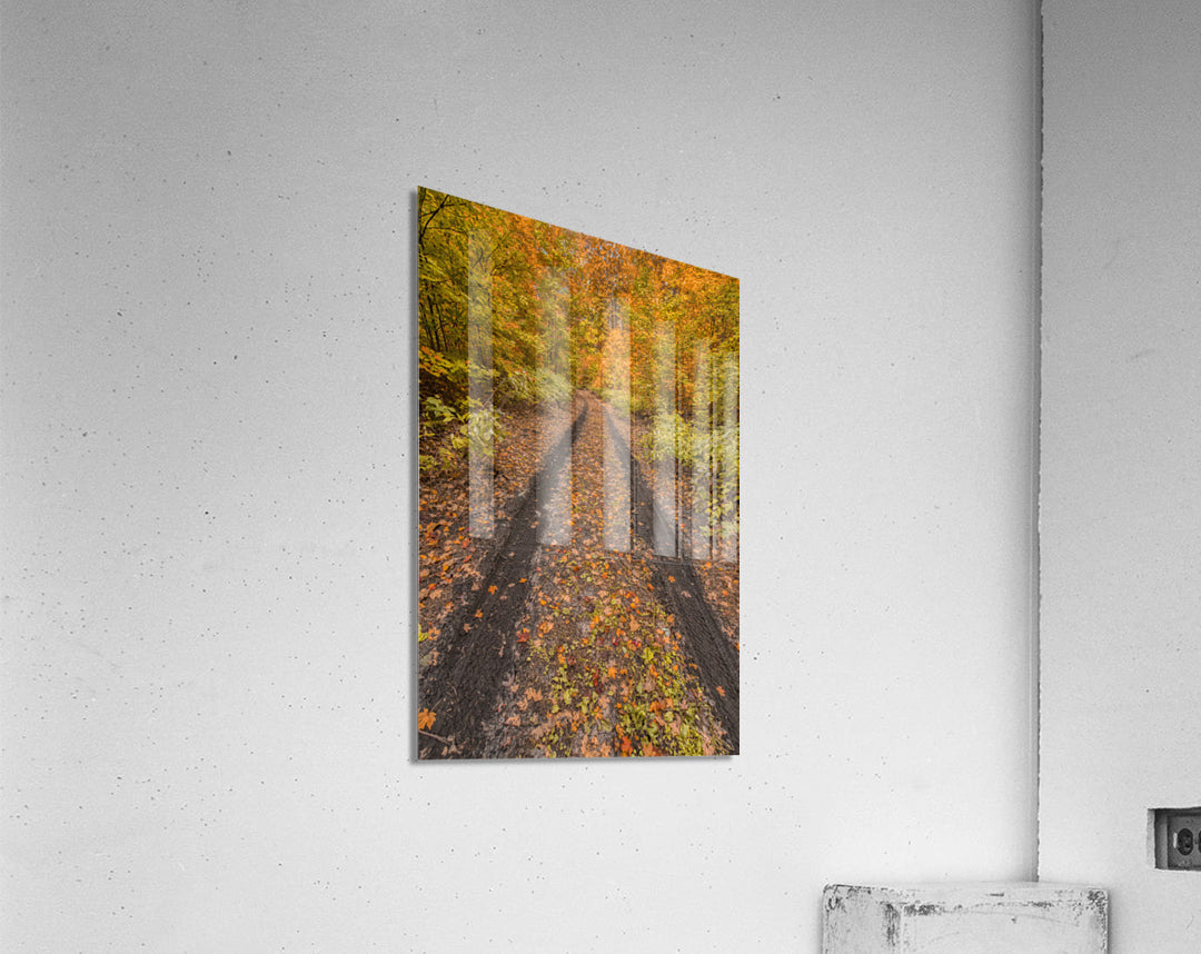 Acrylic Print