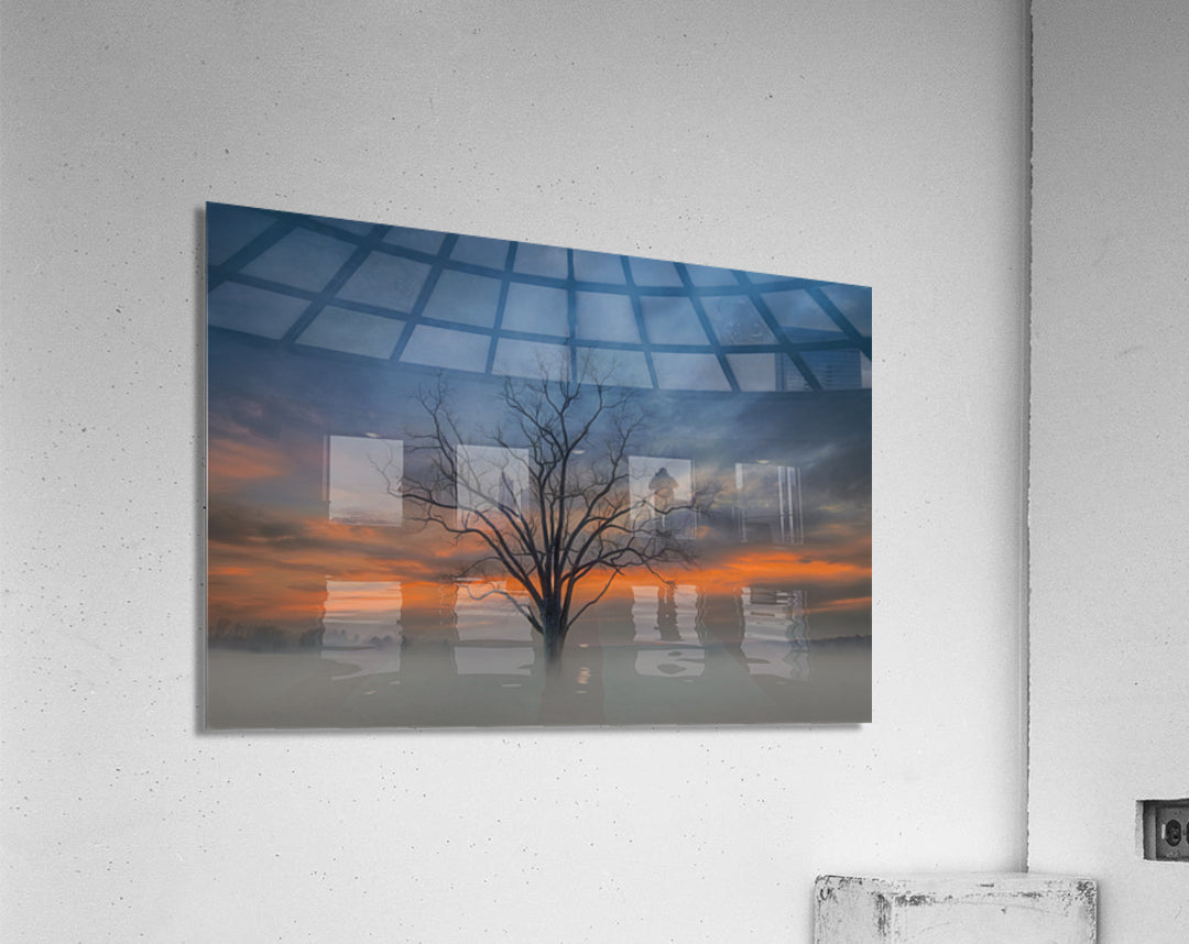 Acrylic Print