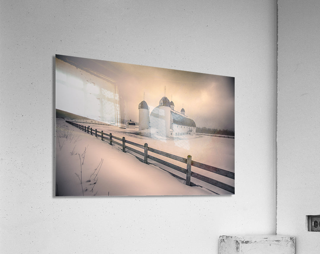 Acrylic Print