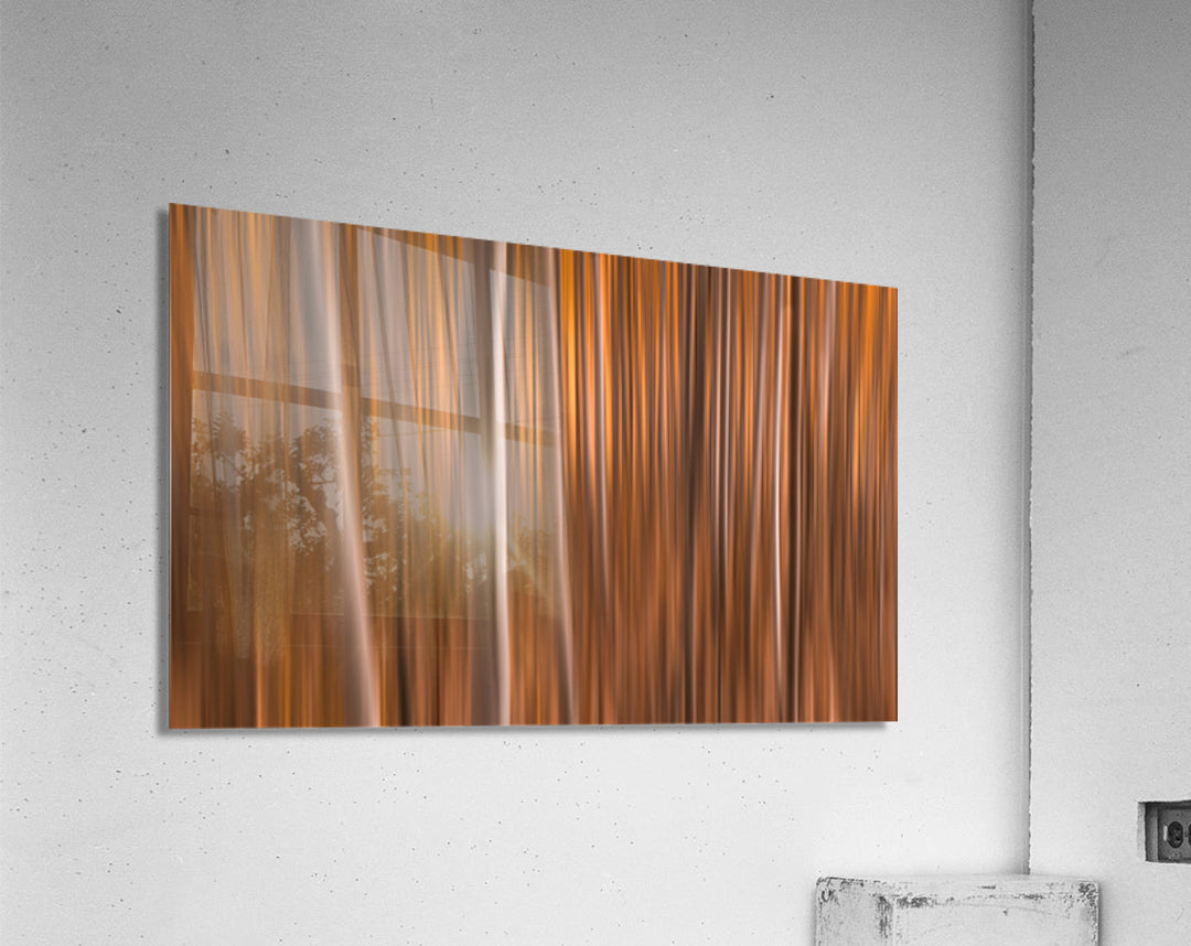 Acrylic Print