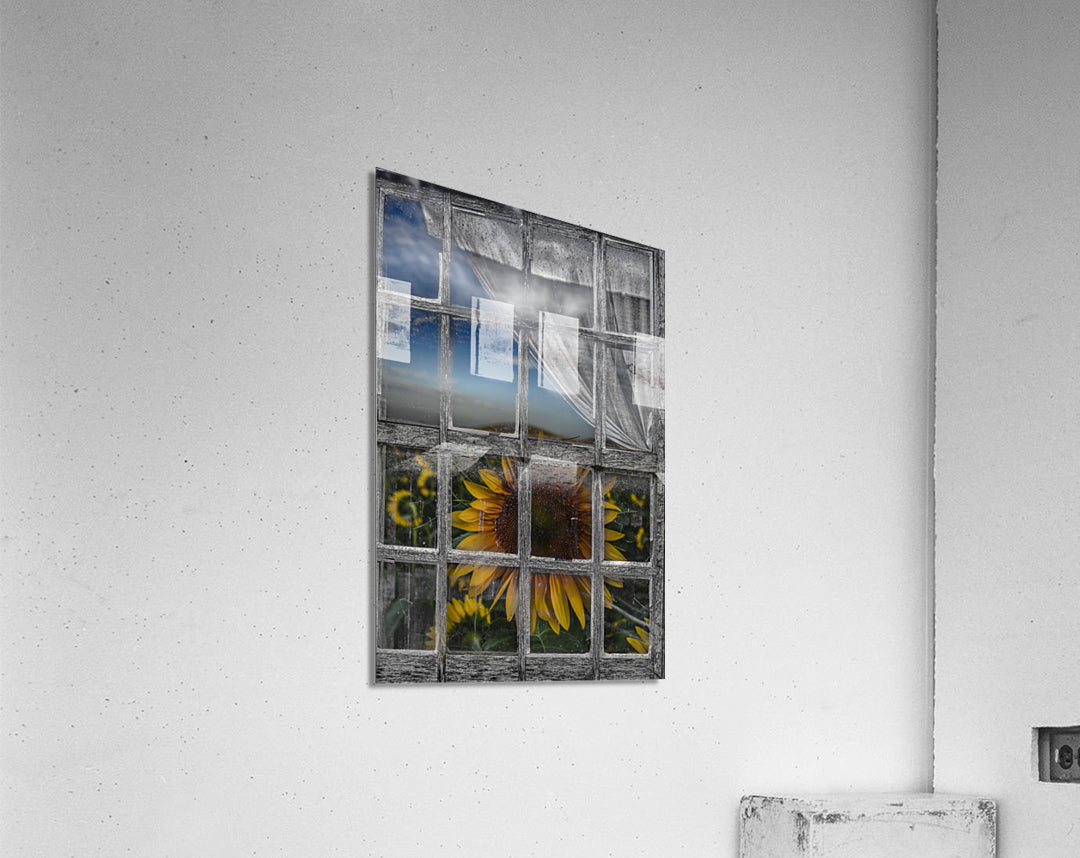 Acrylic Print
