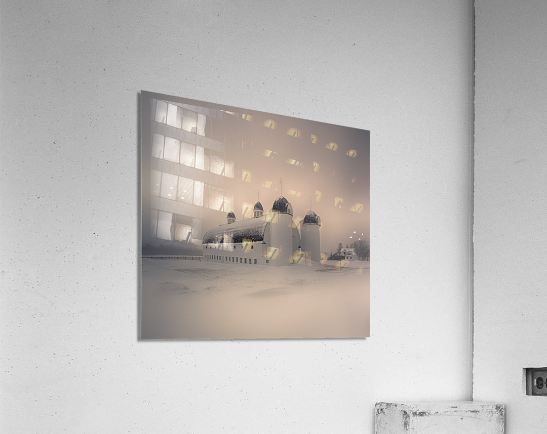 Acrylic Print