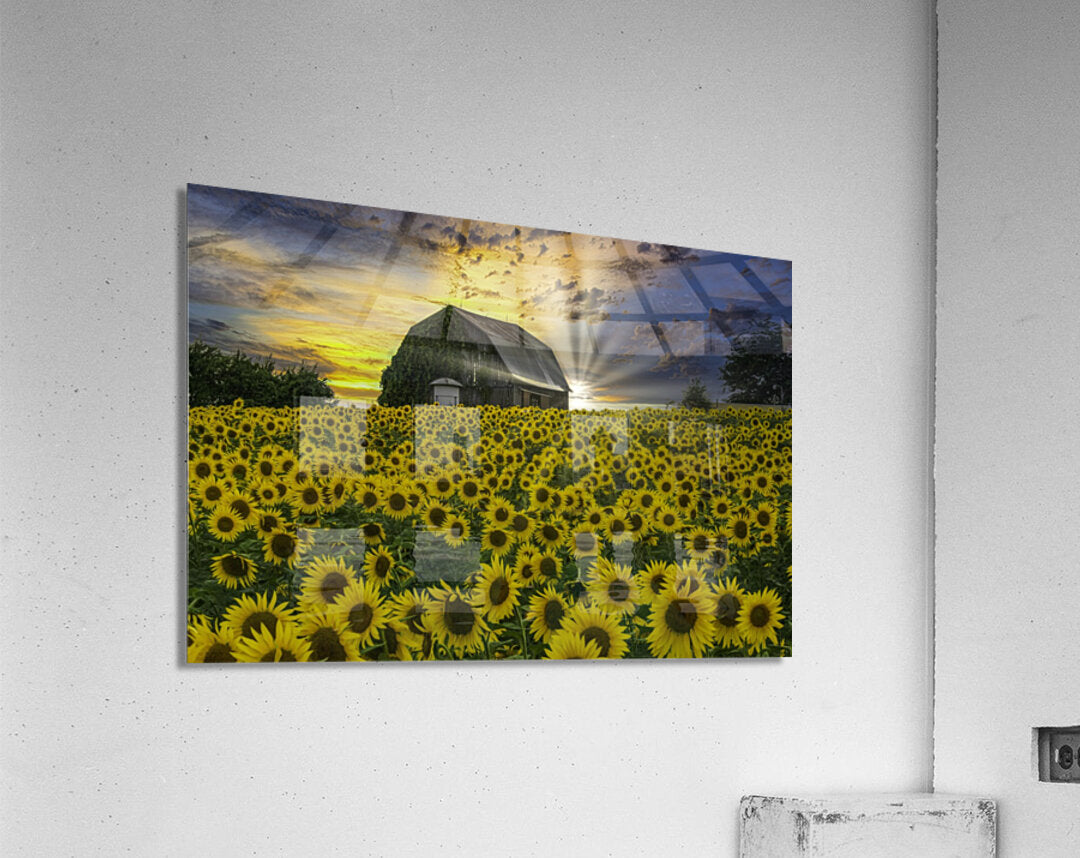 Acrylic Print