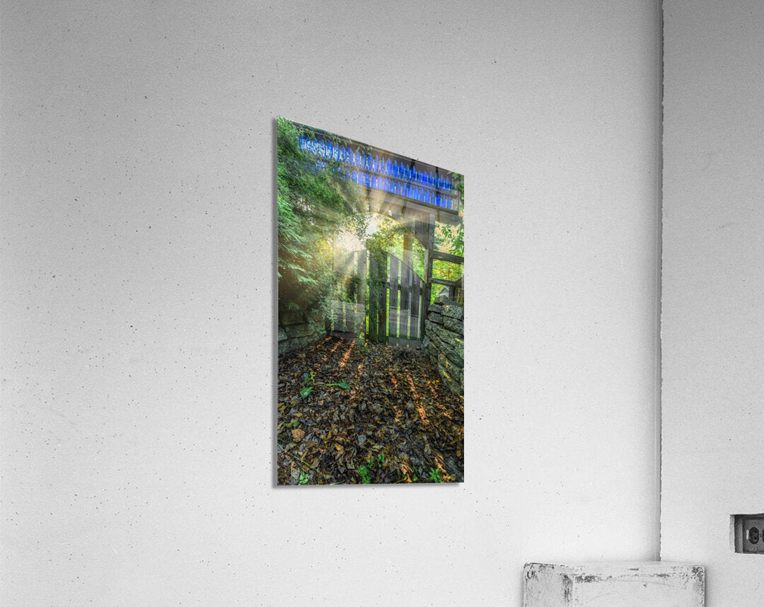 Acrylic Print