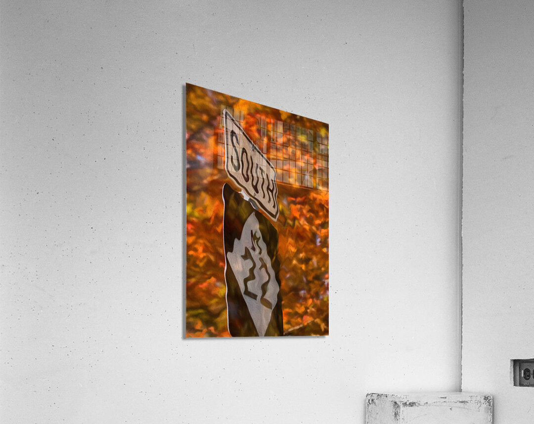 Acrylic Print