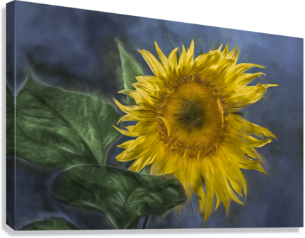 Giclée Stretched Canvas Print