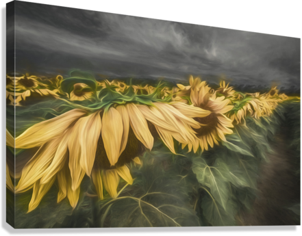 Giclée Stretched Canvas Print