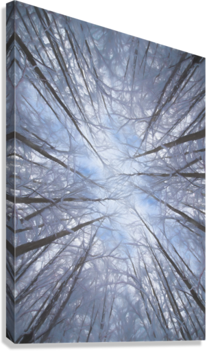 Giclée Stretched Canvas Print