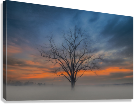 Giclée Stretched Canvas Print
