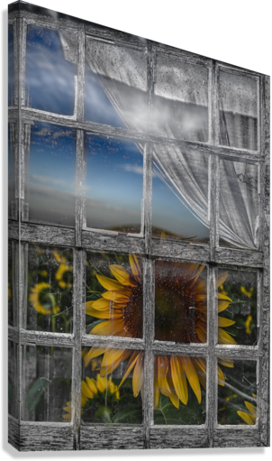 Giclée Stretched Canvas Print
