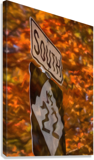 Giclée Stretched Canvas Print