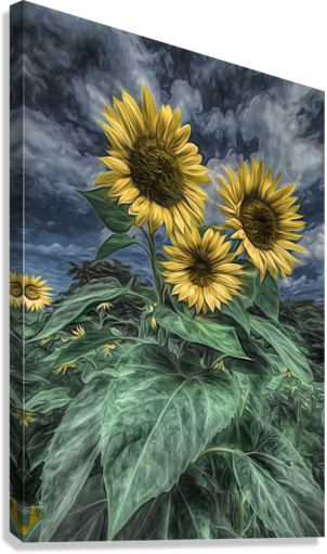 Giclée Stretched Canvas Print