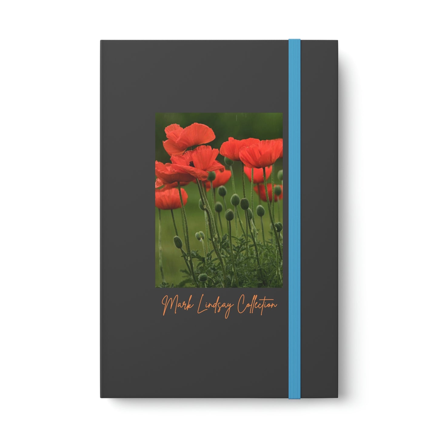 Poppy Growth Color Contrast Journal