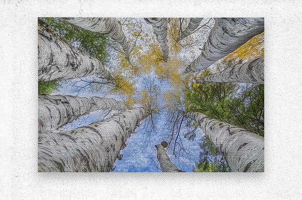 Brushed Metal Print