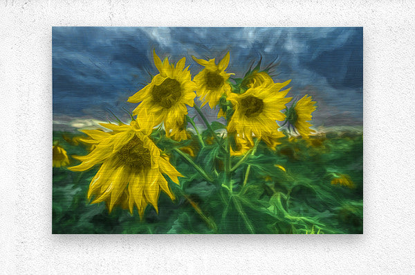 Brushed Metal Print
