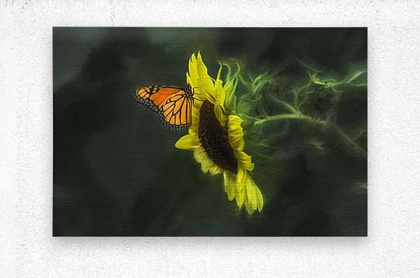 Brushed Metal Print