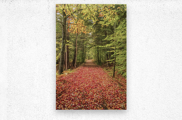 Brushed Metal Print