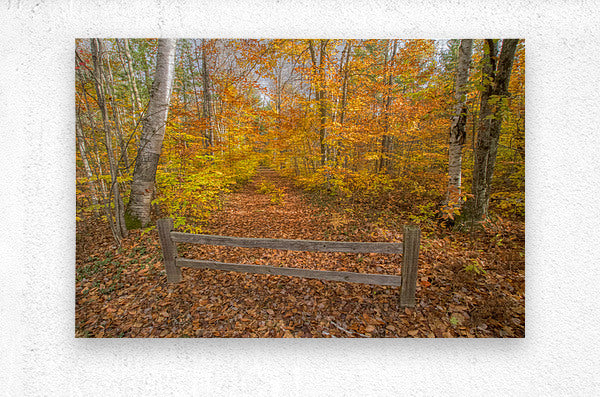 Brushed Metal Print