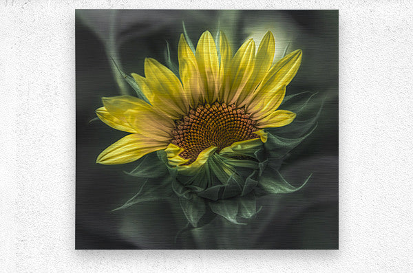 Brushed Metal Print
