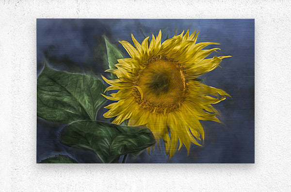 Brushed Metal Print