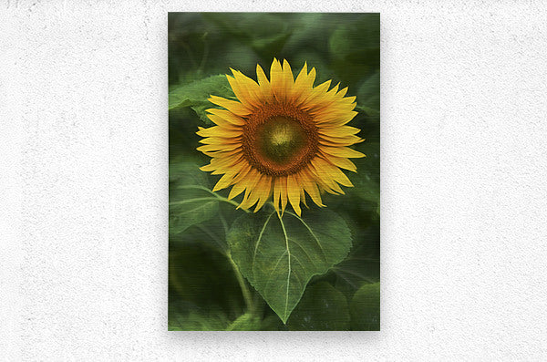 Brushed Metal Print