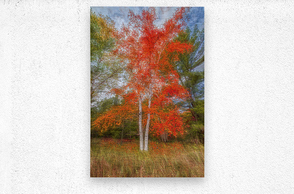 Brushed Metal Print
