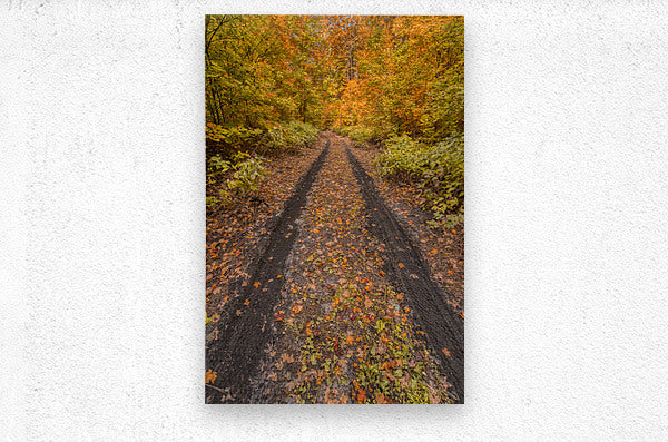 Brushed Metal Print