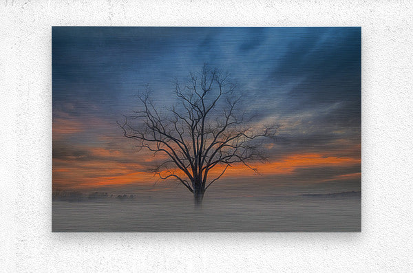 Brushed Metal Print