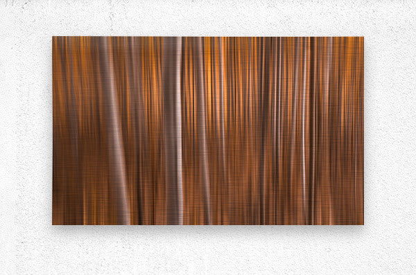 Brushed Metal Print