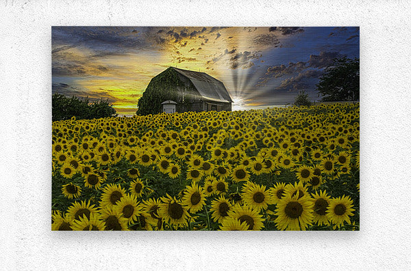 Brushed Metal Print