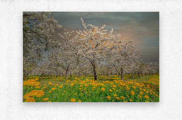 Brushed Metal Print