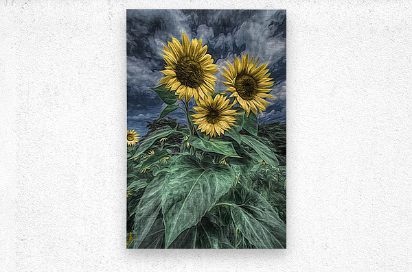 Brushed Metal Print