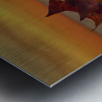 Brushed Metal Print