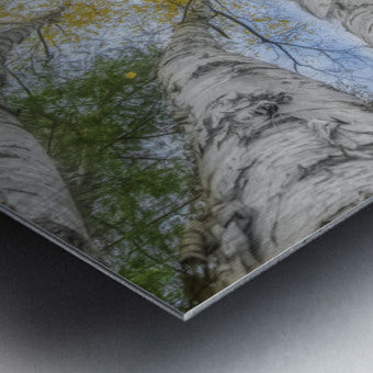 Brushed Metal Print