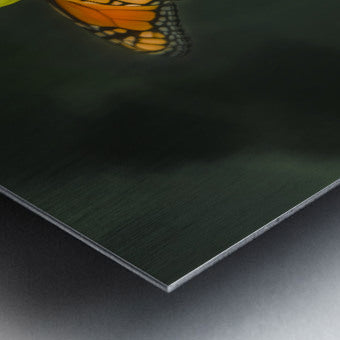 Brushed Metal Print