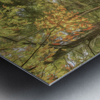 Brushed Metal Print