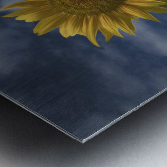 Brushed Metal Print
