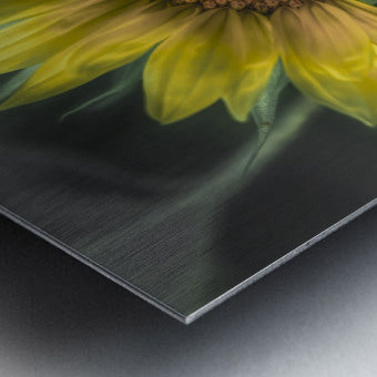 Brushed Metal Print