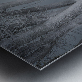 Brushed Metal Print