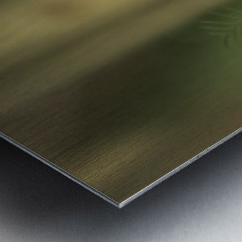 Brushed Metal Print