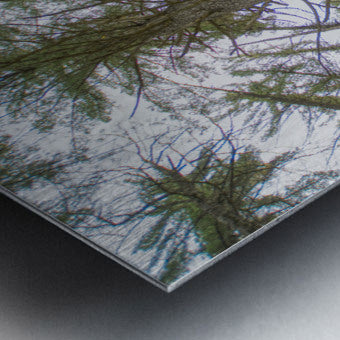 Brushed Metal Print