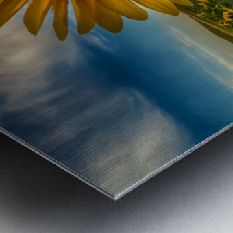 Brushed Metal Print