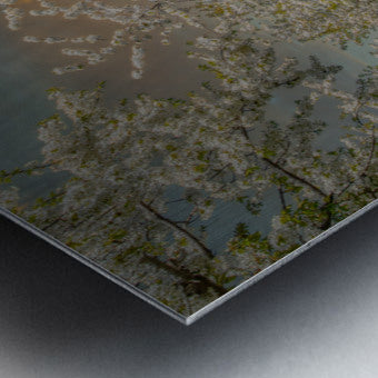 Brushed Metal Print